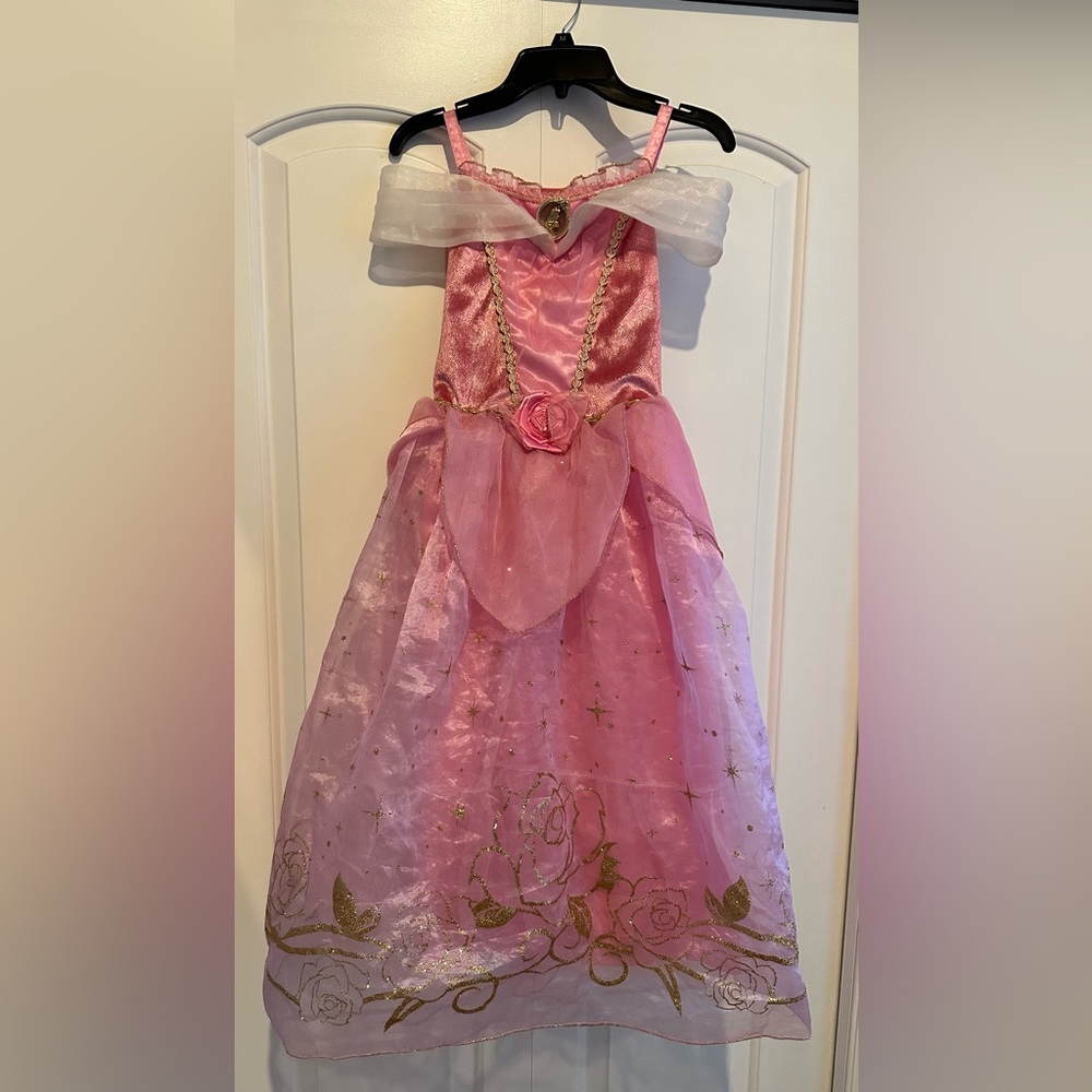 Disney’s Brand Kid’s Sleeping Beauty- Aurora Dress